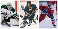 Poll results: Who are the best juniors in Section III boys, girls ice hockey?