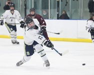 10 eye-popping stats from the Section III hockey season