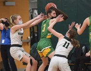 HS girls basketball: Weedsport knocks off LaFayette in game between state-ranked teams (42 photos)