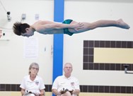 Central Square diver stays on hot streak with win at Section III state qualifiers (66 photos)