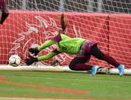 Section III girls soccer players poll: Which opposing goalie do you most fear?